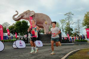 BIB: 
                            <button type="button" onclick="openModal(26529114)" class="btn btn-primary btn-sm float-right btn-popup" data-toggle="modal" data-target=".modal-high-quality">
                        <i class="fas fa-shopping-cart"></i> Add to Cart
                    </button>
                                            <button type="button" onclick="isThisMe(26529114, true)" class="btn btn-success btn-sm float-right btn-popup btn-isme hidden" data-toggle="tooltip" data-placement="bottom" title="นี่คือรูปของคุณใช่ไหม คลิกที่นี่เพื่อเอาเข้าอัลบั้ม">
                        <i class="fas fa-plus"></i> Add to album
                    </button>
                    <button type="button" onclick="isThisMe(26529114, false)" class="btn btn-warning btn-sm float-right btn-popup btn-isnotme hidden">
                        <i class="fas fa-ban"></i> Remove from album
                    </button>